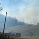 Imagem - O impacto devastador do incêndio no Parque Mata das Flores em Castelo