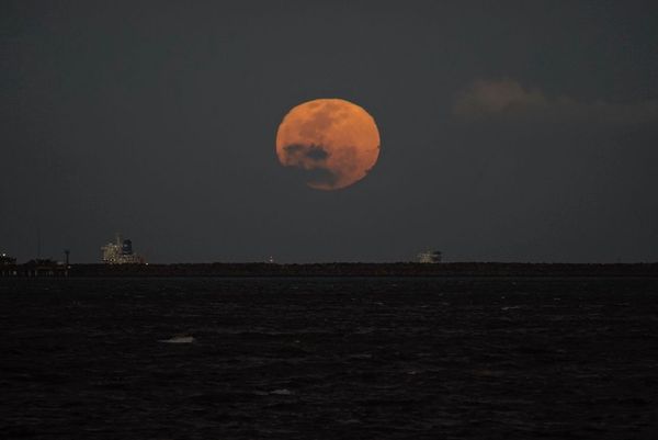 Superlua azul ocupa o céu por Vitor Jubini
