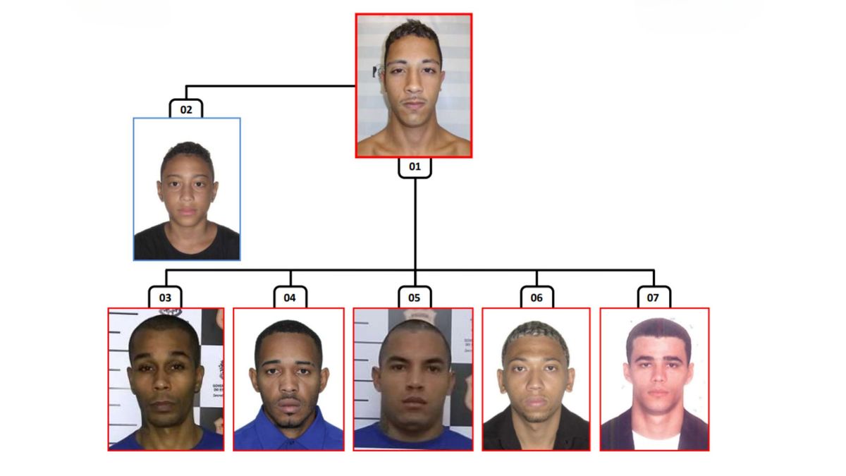 Organograma dos suspeitos, segundo a polícia