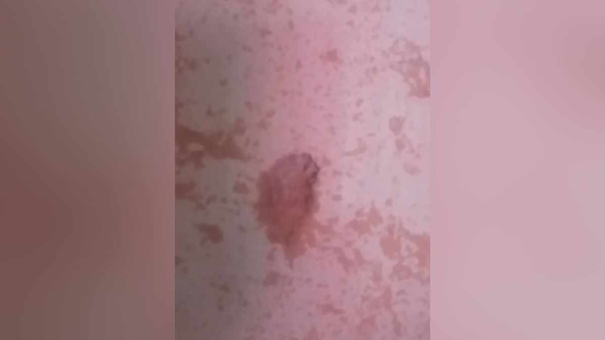 Moradora de Cariacica diz que a casa foi baleada enquanto a polícia passava pelo quintal dela atrás de suspeito. 