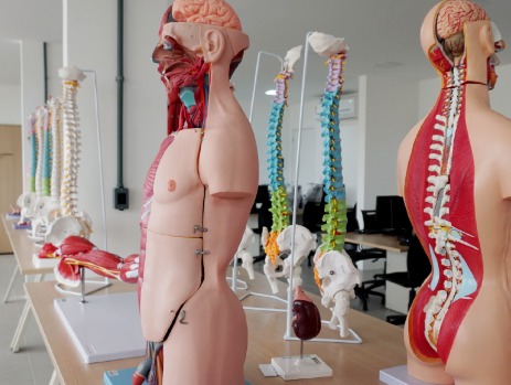 Curso de Medicina da Faesa