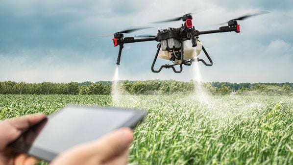 São 15 vagas para o treinamento (gratuito) com duração de uma semana