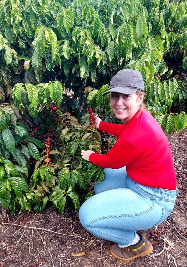 Andressa Mafort, produtora rural