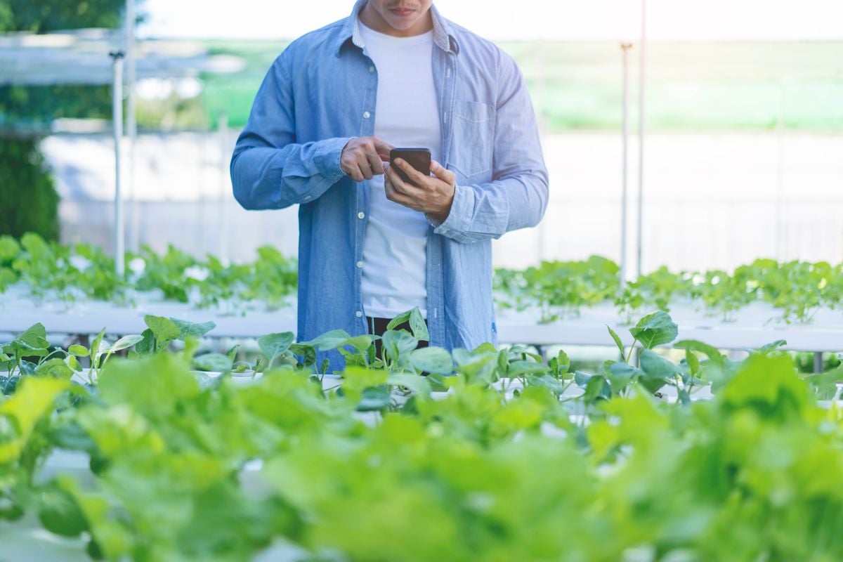 Cliente tem direito de saber 
o nome do produto, quem é o 
produtor e o local de origem