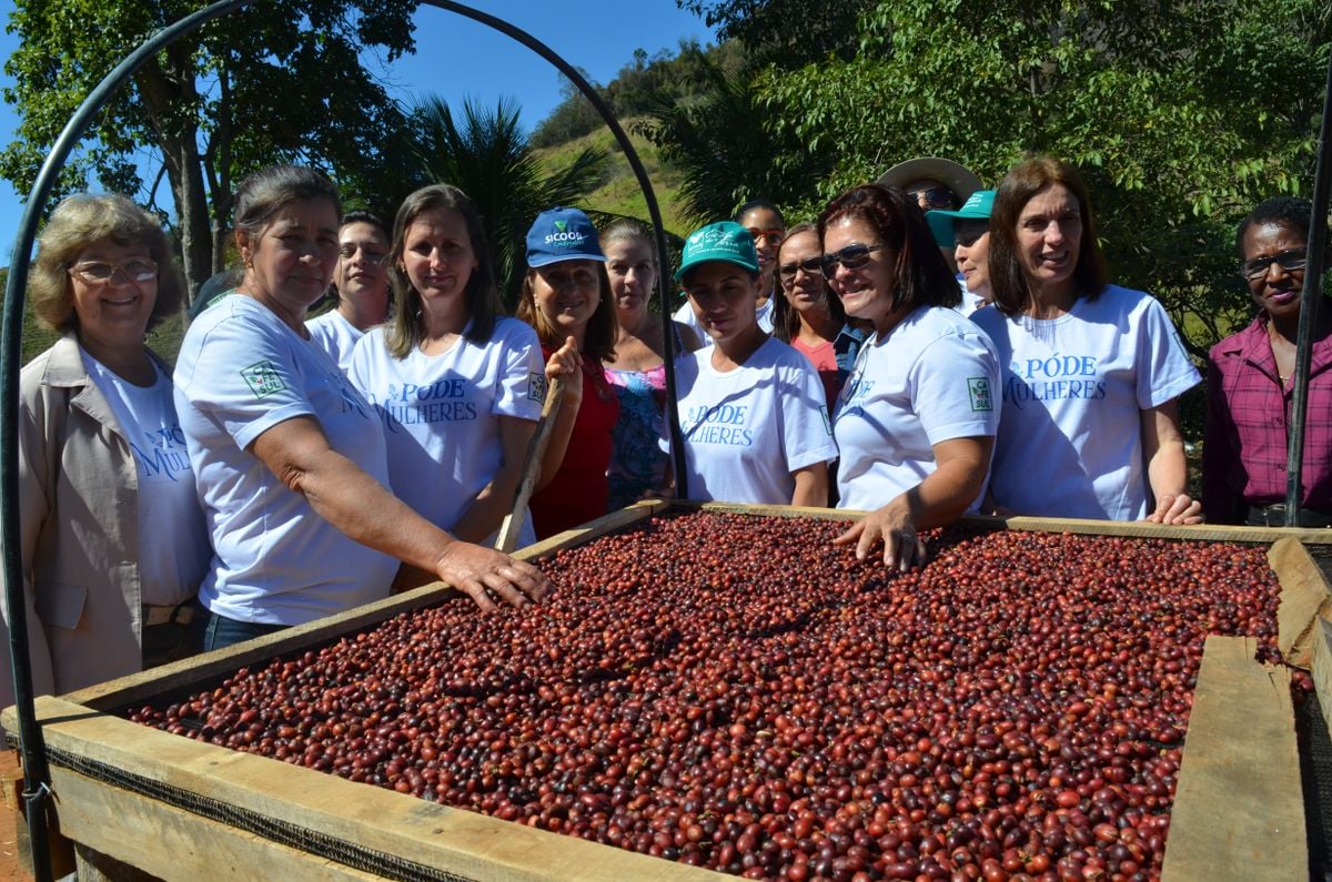 Póde Mulheres capacita agricultoras para oferecer café de qualidade