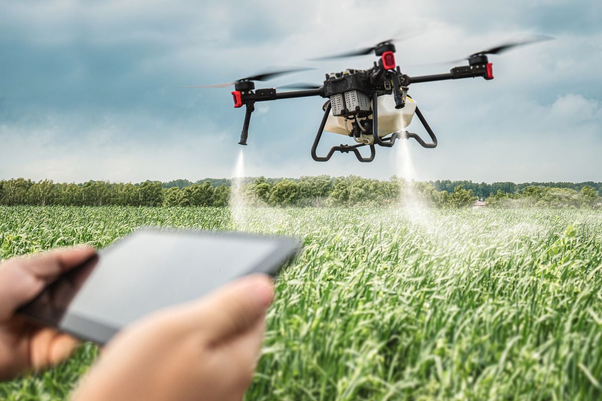 Pulverização tornou-se
mais eficiente com uso de
drones contra doenças e 
pragas do café, inclusive em
lavouras de montanha