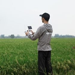 O Estado é o sétimo com o maior número de operadores de drones agrícolas registrados. Cada máquina custa pelo menos R$ 200 mil