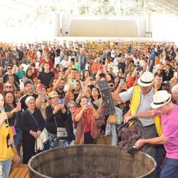 Festa da Uva e do Vinho, em Santa Teresa