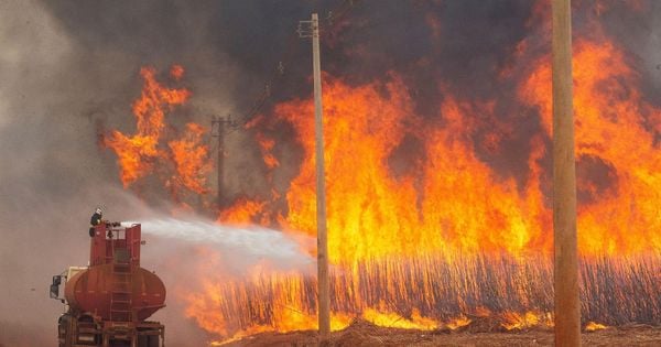 Duas pessoas já foram presas. Autoridades comparam queimadas no interior de São Paulo ao 'dia do fogo', que aconteceu no Pará em 2019