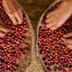 Imagem - Exportações do agro do ES batem recorde em 2024 e crescem 69%