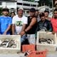 Imagem - "Muito peixe morto"; pescadores denunciam possível poluição no Rio Santa Maria