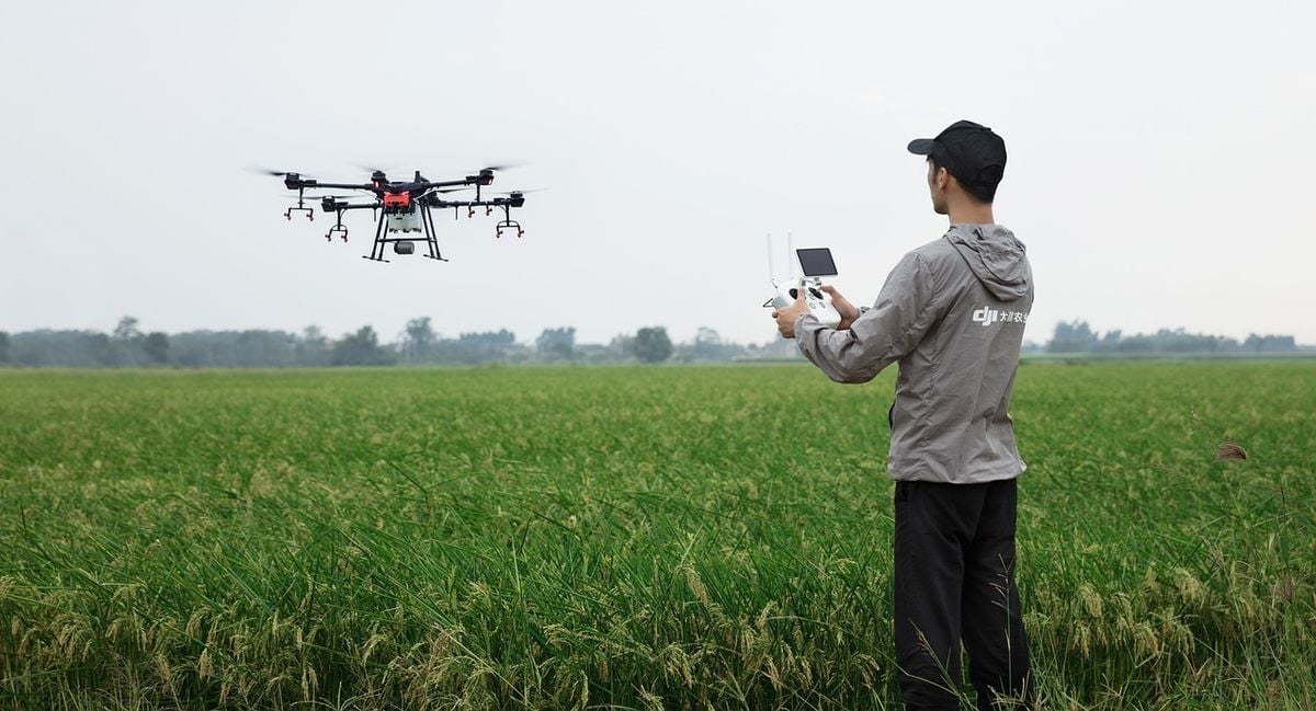 Drones são usados para proteger plantações