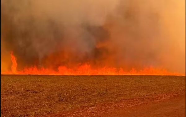 Incêndios em São Paulo podem ter sido intencionais