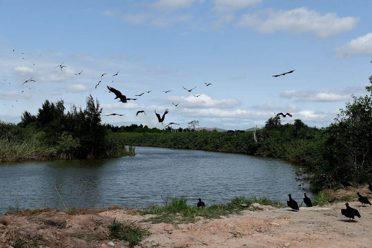 Pescadores da Ilha das Caieiras e Cariacica denunciam poluição do Rio Santa Maria