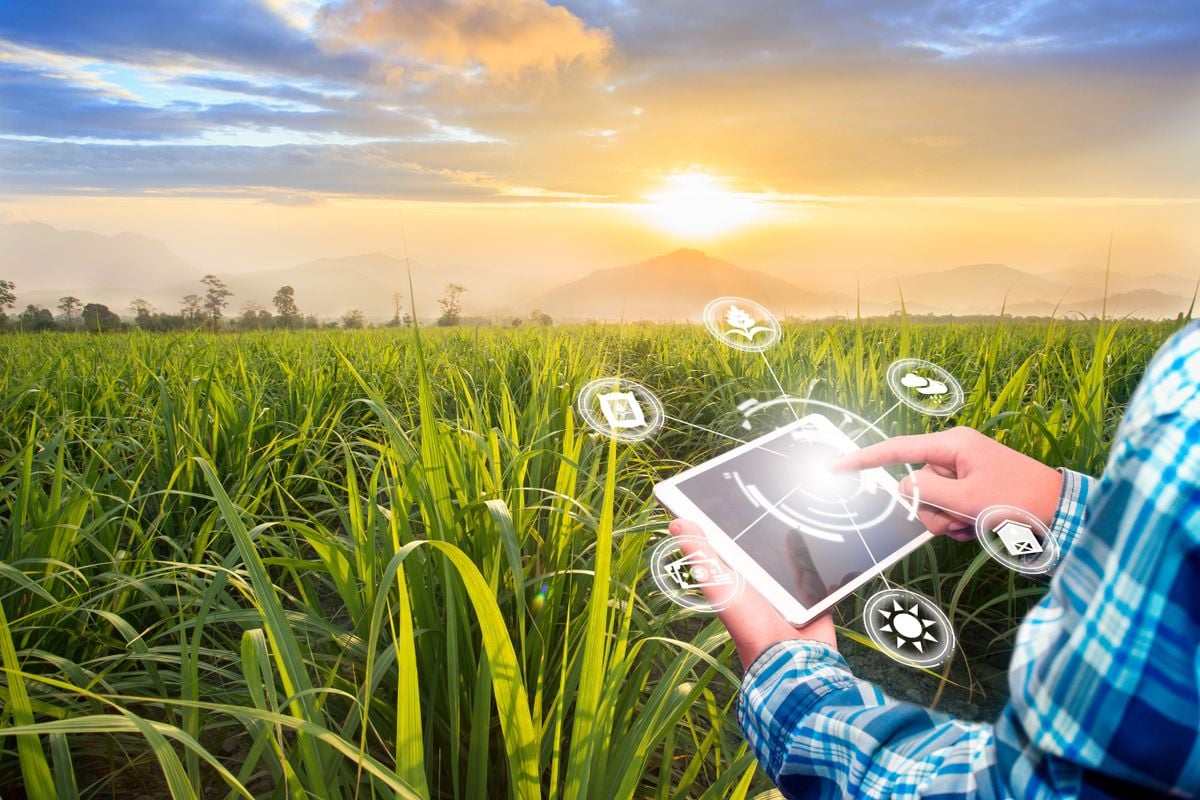 Inovações no agro são destaques em palestras do TecnoAgro 2024