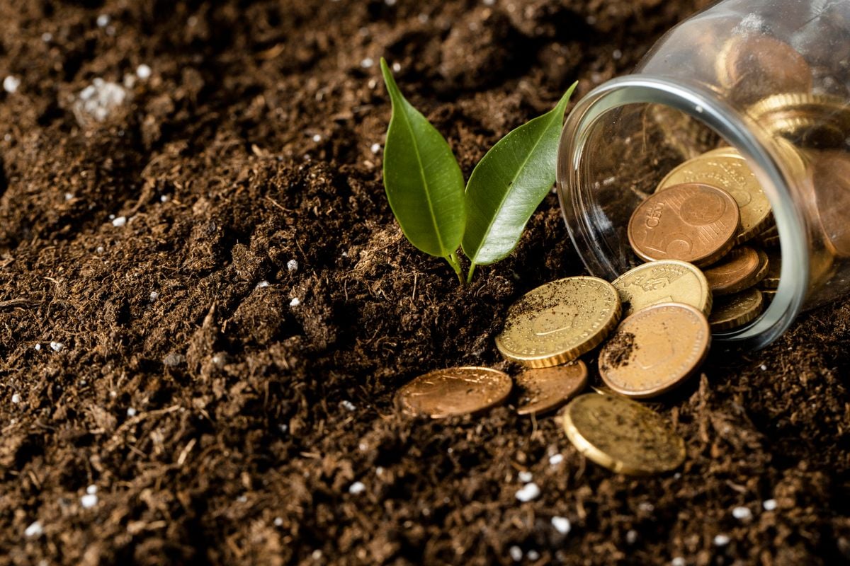 Solo agro e moedas