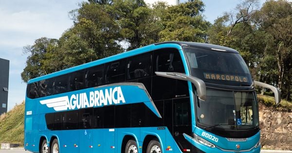 Postos são para motoristas de ônibus e caminhão, além de agente de vendas. Profissionais vão reforçar equipe de trabalho na alta temporada