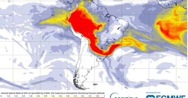 A Amazônia é fundamental na regulação do clima da América do Sul. A floresta evapotranspira (libera vapor d'água), criando o que chamamos de "rios voadores", que transportam umidade para outras regiões do Brasil