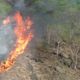 Imagem - Incêndio volta a atingir morro da pedra da tirolesa em Pancas