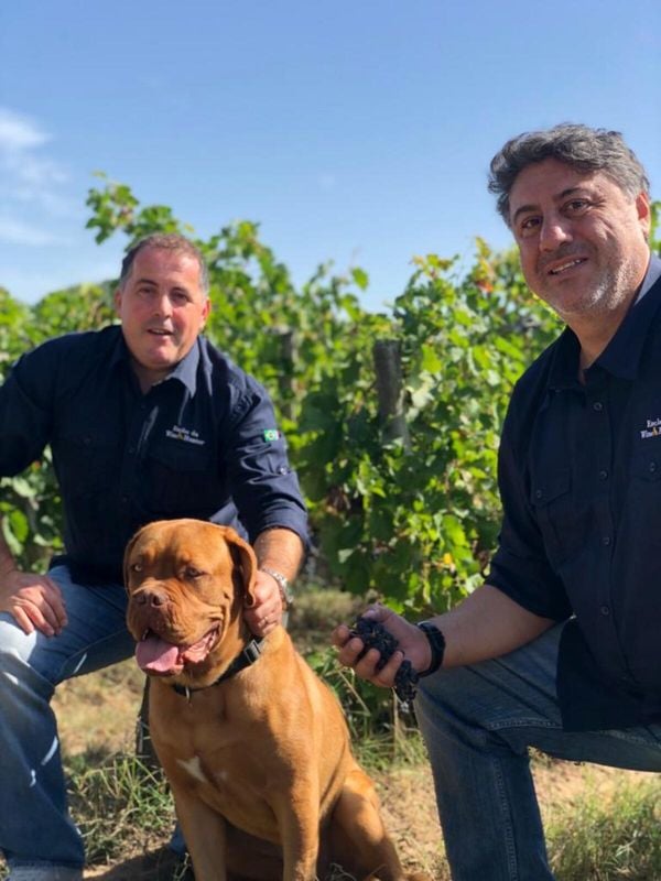 O brasileiro Vicente Jorge e o francês Manu Brandão no Enclos em Bordeaux com Otto