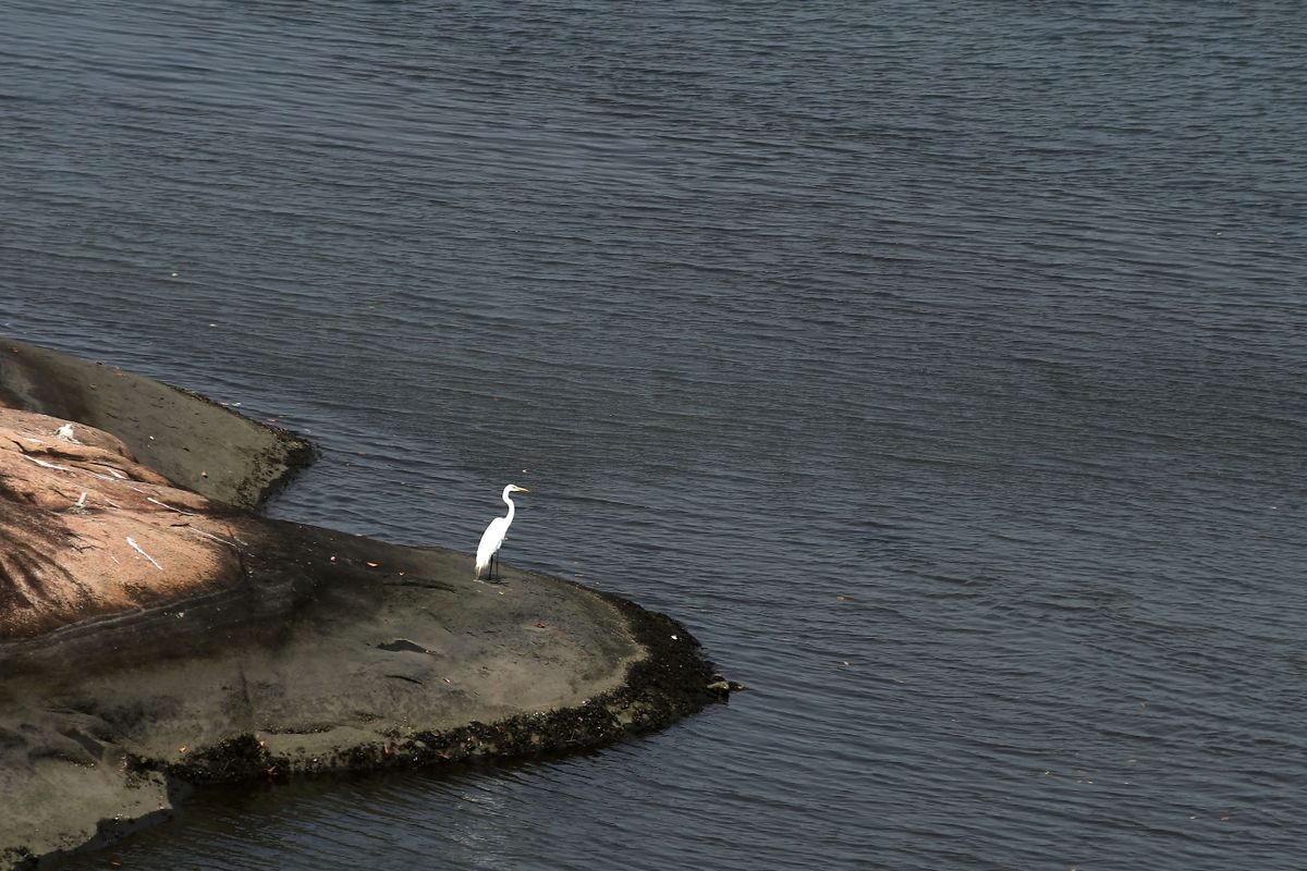 O tempo na Capital por Fernando Madeira