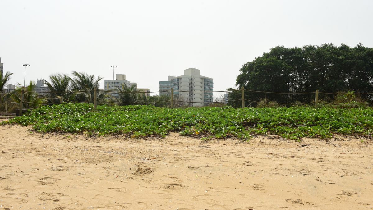 Praia de Camburi, onde a areia foi trocada por Ricardo Medeiros
