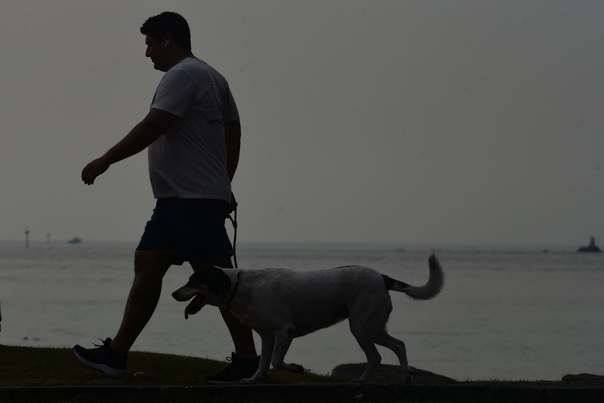 Tempo amanheceu com névoa branca nesta quarta-feira (4) por Ricardo Medeiros