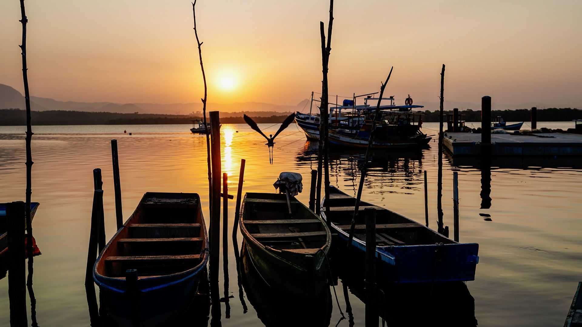 Ilha das Caieiras fotografada para o aniversário de Vitória