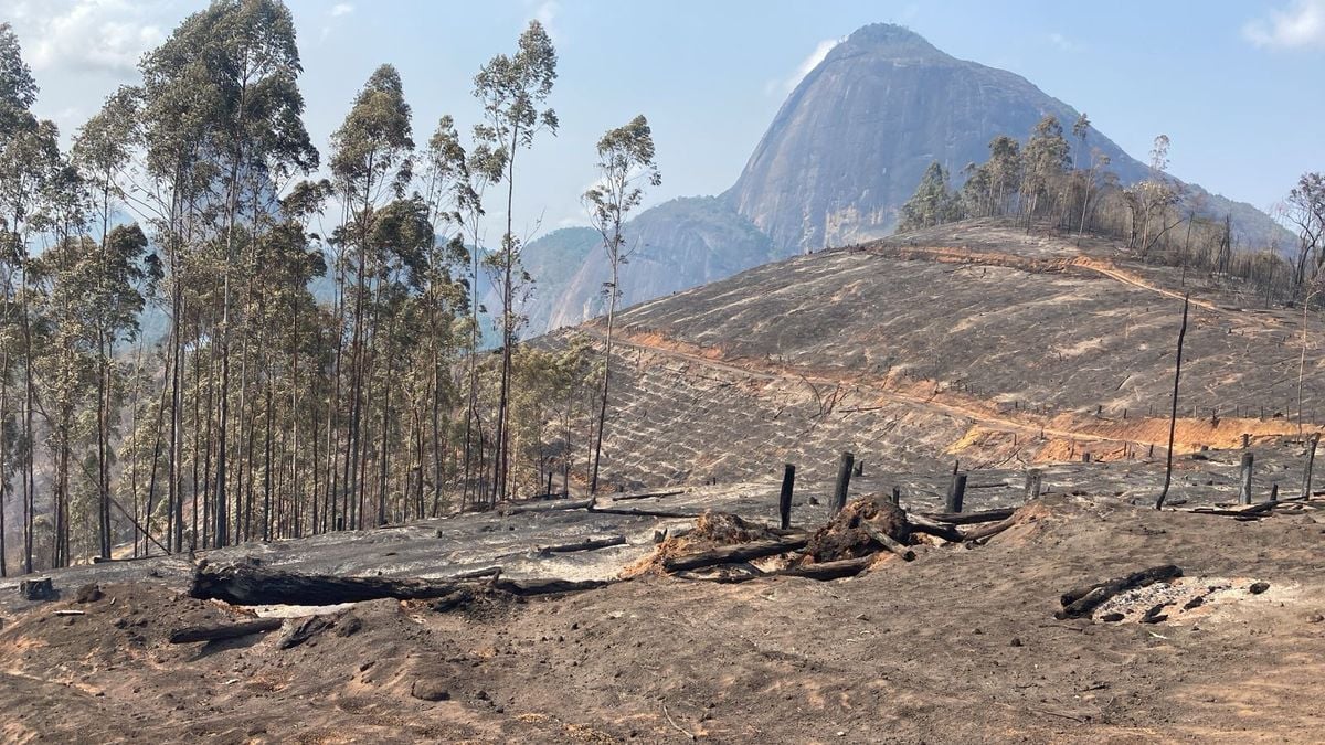 Incêndio em Pancas deixa vegetação completamente queimada