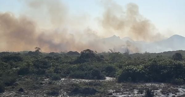 Incêndio começou na noite de segunda-feira (9) e as imagens da devastação causada pelas chamas são impressionantes; fogo chegou em área alagada e prejudica trabalho de combate