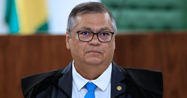 Ordem deve ser cumprida em até 5 dias; ministro determinou que Polícia Federal e polícias civis façam mutirão para investigar origem dos incêndios