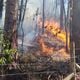 Imagem - Incêndio atinge mata perto do Museu Mello Leitão em Santa Teresa