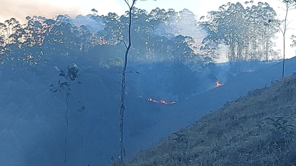 Foto mostra local atingido pelo fogo causado pelo suspeito