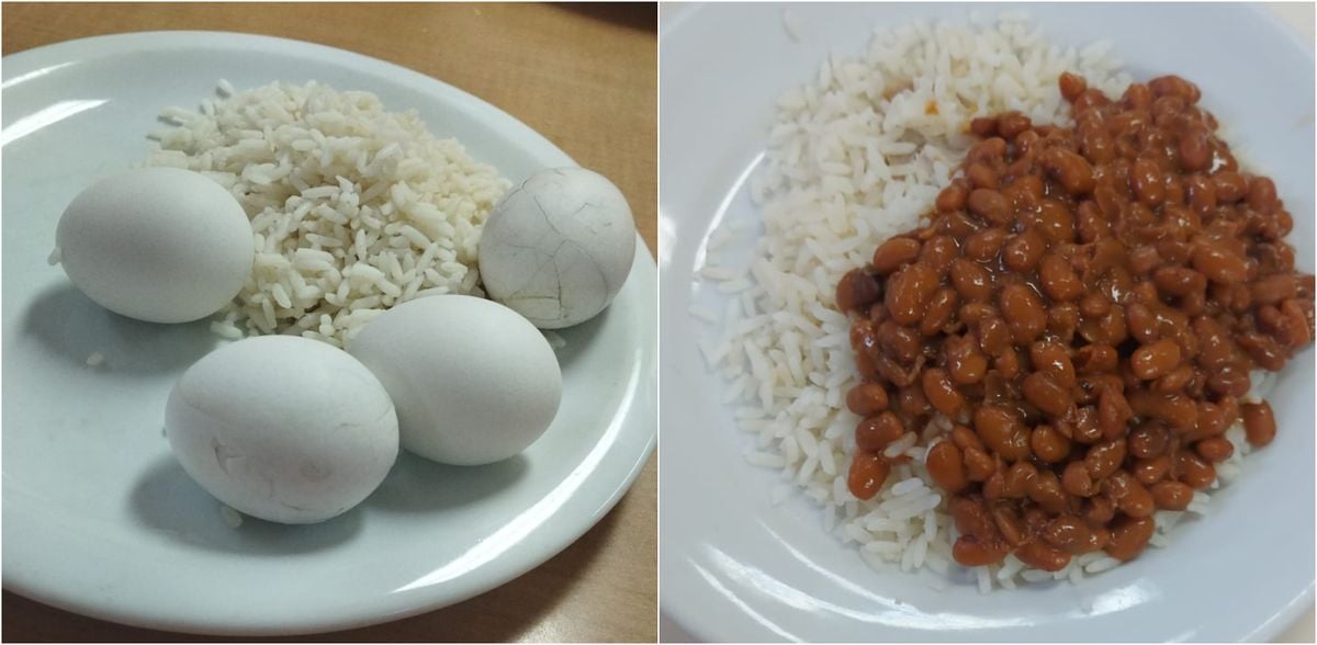 Alimentação não é servida de forma regular na Bacia de Campos