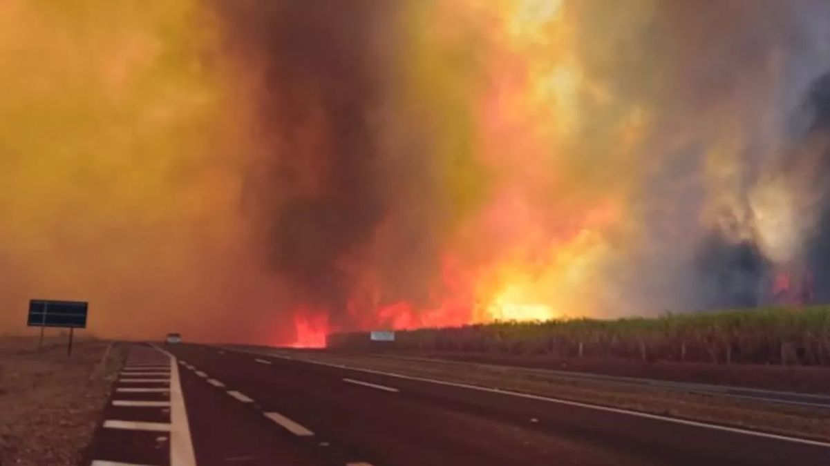 Diante da seca, fogo se alastra pelo interior de São Paulo 