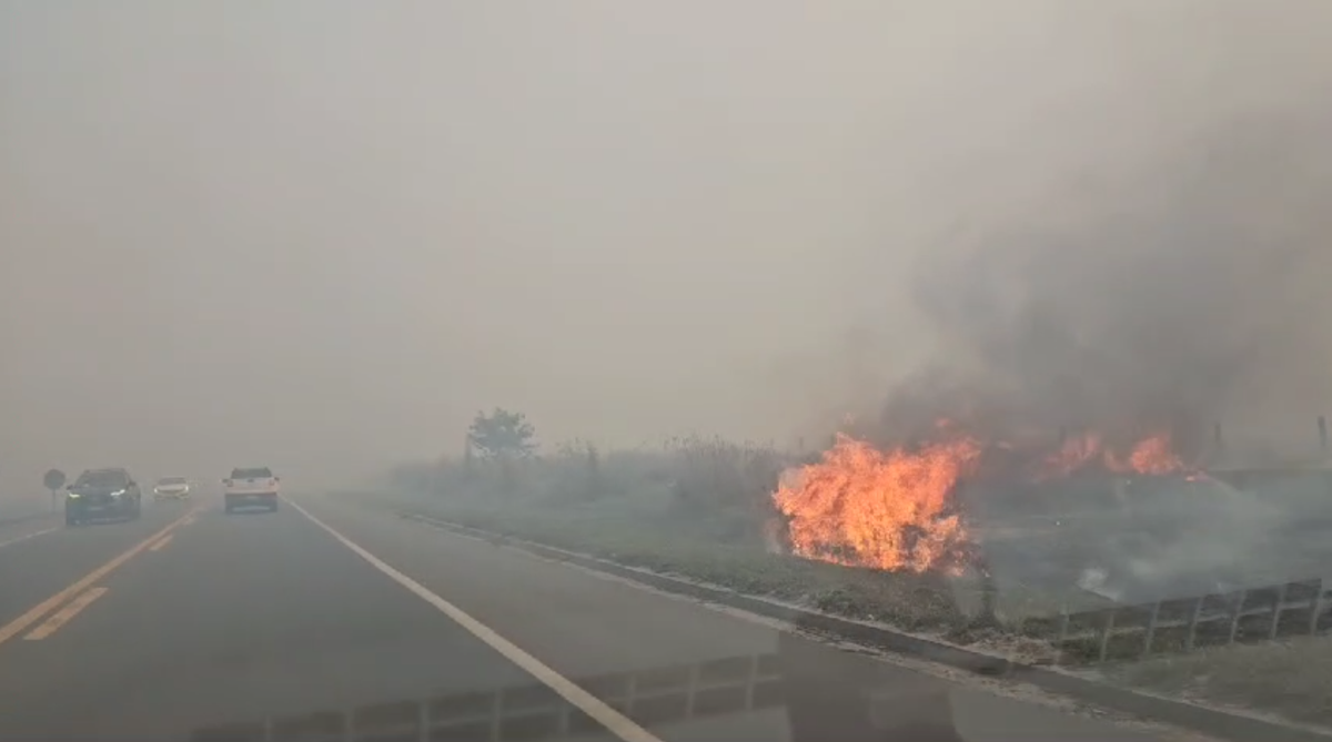 Incêndio atinge vegetação e fecha a BR 101 em Linhares