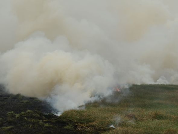Queima de turfa na região do Mestre Álvaro, na Serra por Fernando Madeira