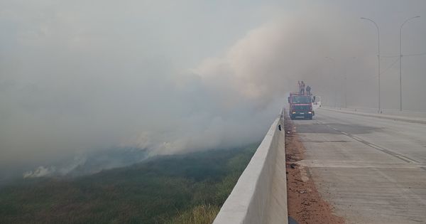 Se Dante reescrevesse o Inferno, hoje estariam condenados ao fogo eterno os que provocam incêndios, os desmatadores, os gananciosos das terras indígenas, os “haters” das redes sociais, os influenciadores digitais que estimulam fraudes