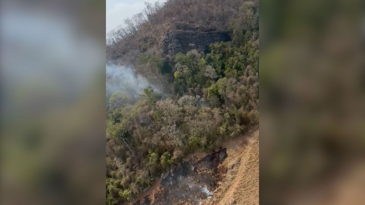 Incêndio volta a atingir Parque Estadual Mata das Flores, em Castelo