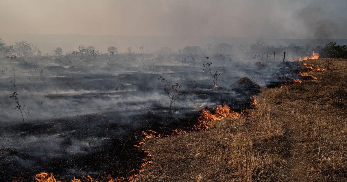 Imagem BBC Brasil