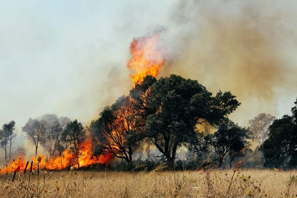 8 dicas para proteger a saúde das fumaças das queimadas