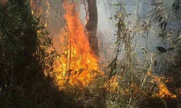 Incêndio atinge o Parque da Serra dos Órgãos, no Estado do Rio