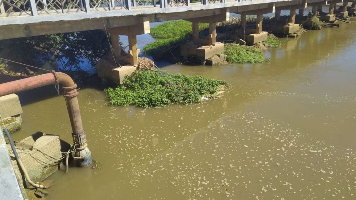 Trecho do Rio Itapemirim onde é feita a captação de água que abastece Itapemirim e Marataízes