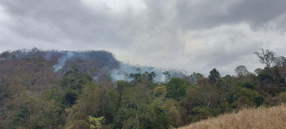 Incêndio já atinge Parque Mata das Flores há um mês em Castelo