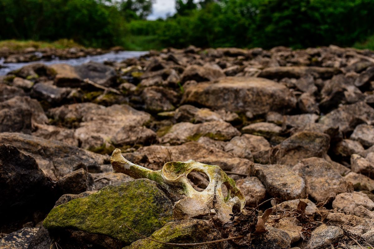 Local de captação de água do rio Santa Maria da Vitória pela Cesan em Queimados, Serra