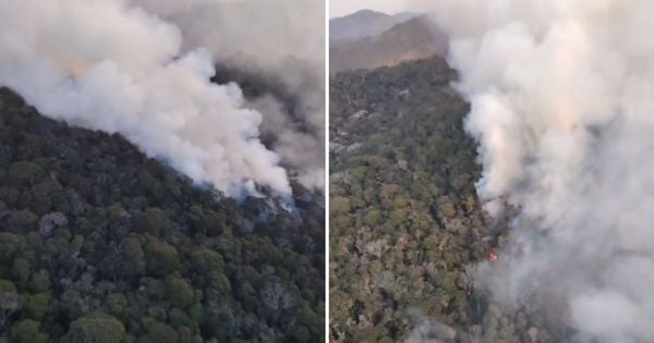 Segundo a Defesa Civil Municipal, o fogo começou no sábado (14) e já consumiu área de mata virgem equivalente a 35 campos de futebol; trabalhos de combate às chamas seguem nesta quarta (18)