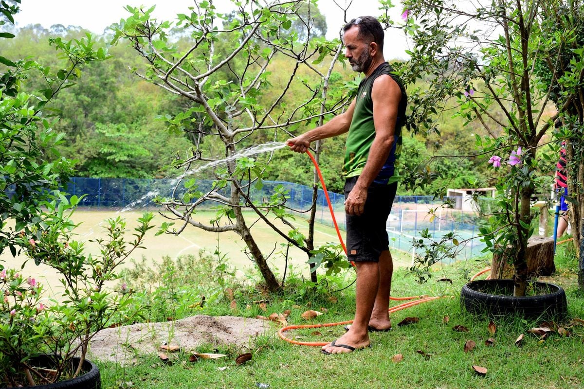 Jocimar Gomes, ele plantou várias plantas no Bairro Aparecida, Cariacica