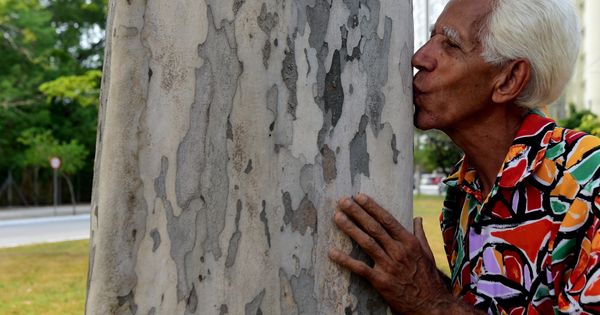 Para celebrar o Dia da Árvore, em 21 de setembro, A Gazeta ouviu moradores que têm como hobby ou propósito de vida  transformar espaços degradados em áreas verdes nas grandes cidades