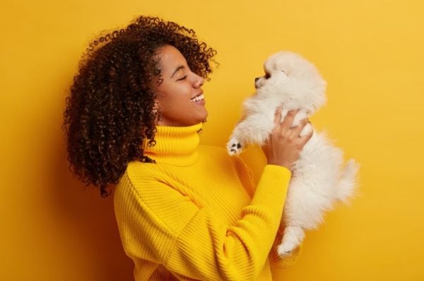 A inclusão do ovo na dieta de cães e gatos é uma tendência que tem crescido entre tutores