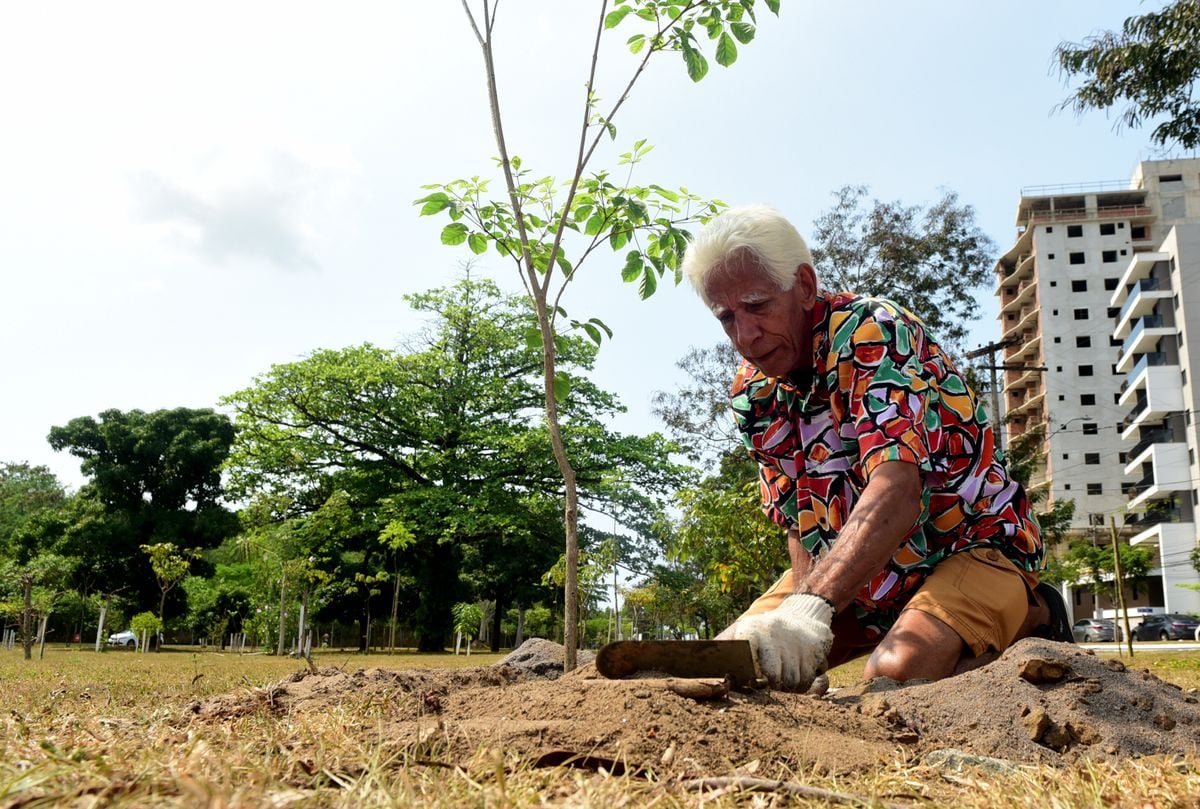 Antônio dos Santos planta árvores em Vitória há 13 anos